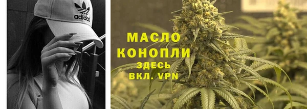 индика Бугульма