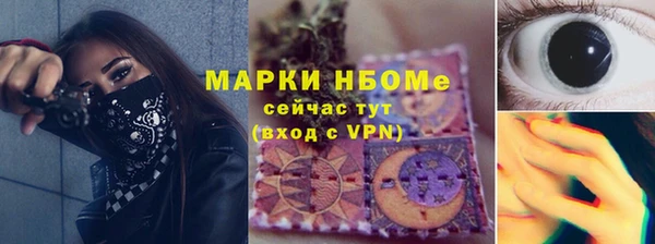 индика Бугульма