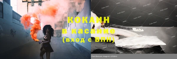 индика Бугульма