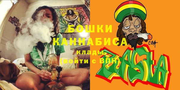 индика Бугульма