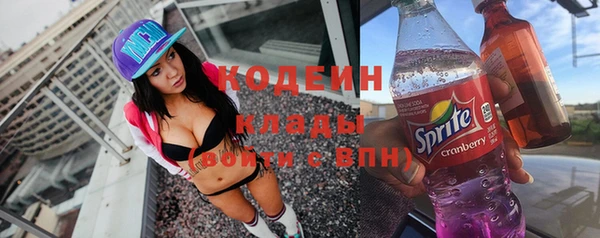 индика Бугульма