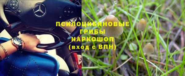 индика Бугульма