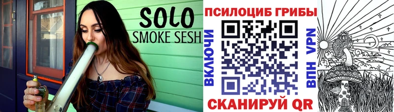 Псилоцибиновые грибы Cubensis  как найти   Бузулук 